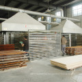 Máquina de prensado en caliente hidráulico de madera para la fábrica de madera contrachapada